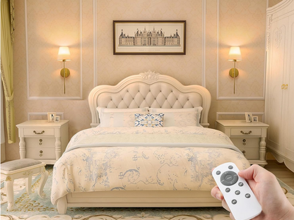 Luxe zidna lampa s daljinskim upravljanjem